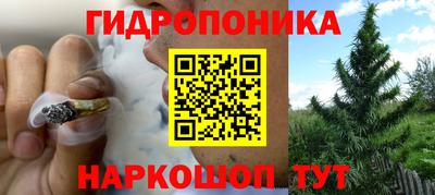 эйфоретик Можайск